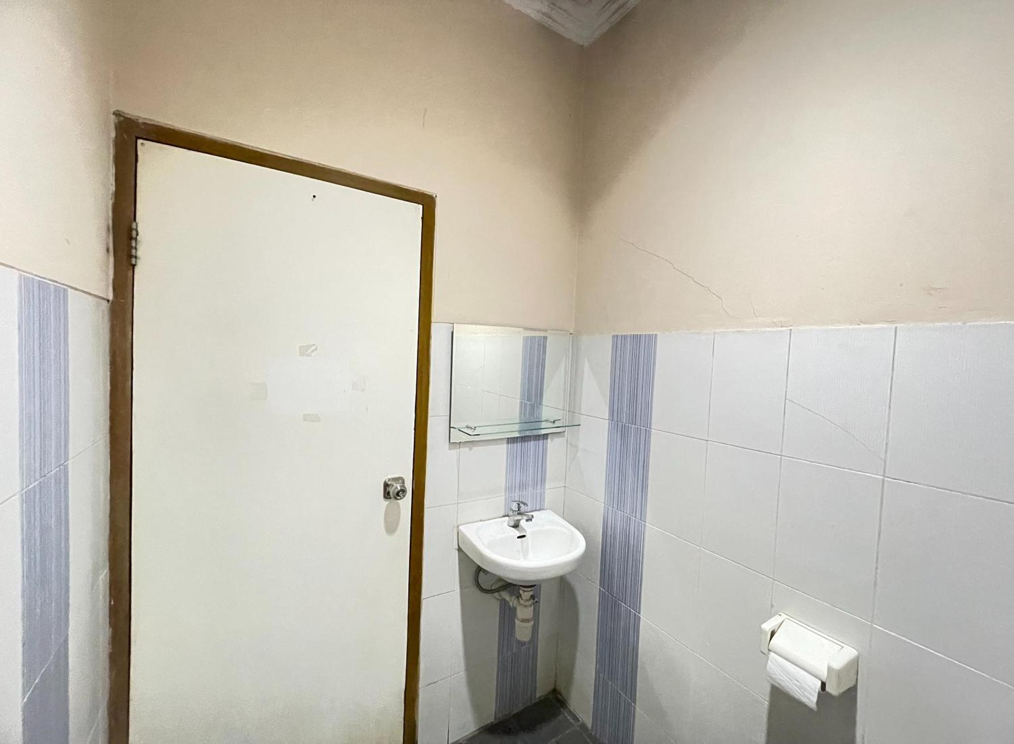 Cemara Hijau 2*
