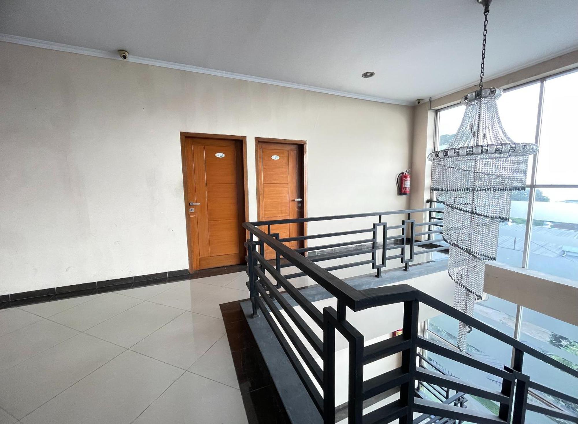 Cemara Hijau